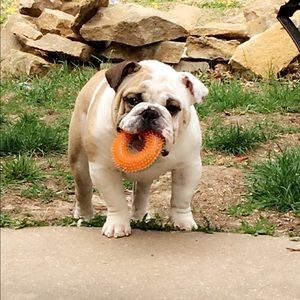 Meet your Posher, Tabatha